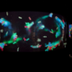 Large projections show organisms created by visitors interacting in a “bio pool,” which illustrate DNA concepts. Image: Na’im Beyah